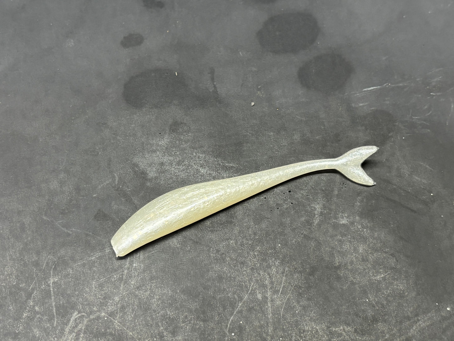 Wicked shad