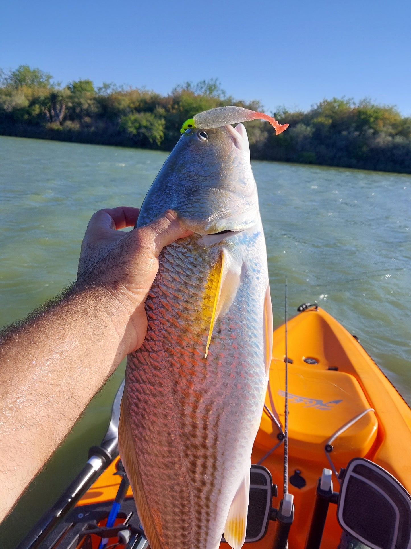 Magic Mullet